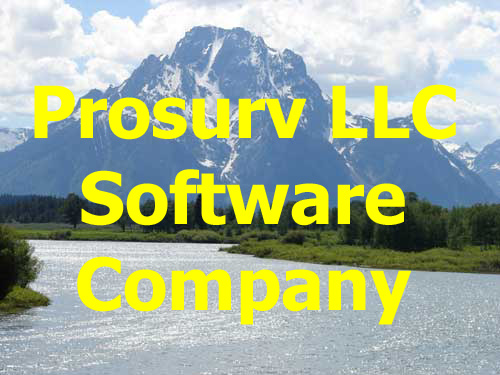 Prosurv LLC Software Company